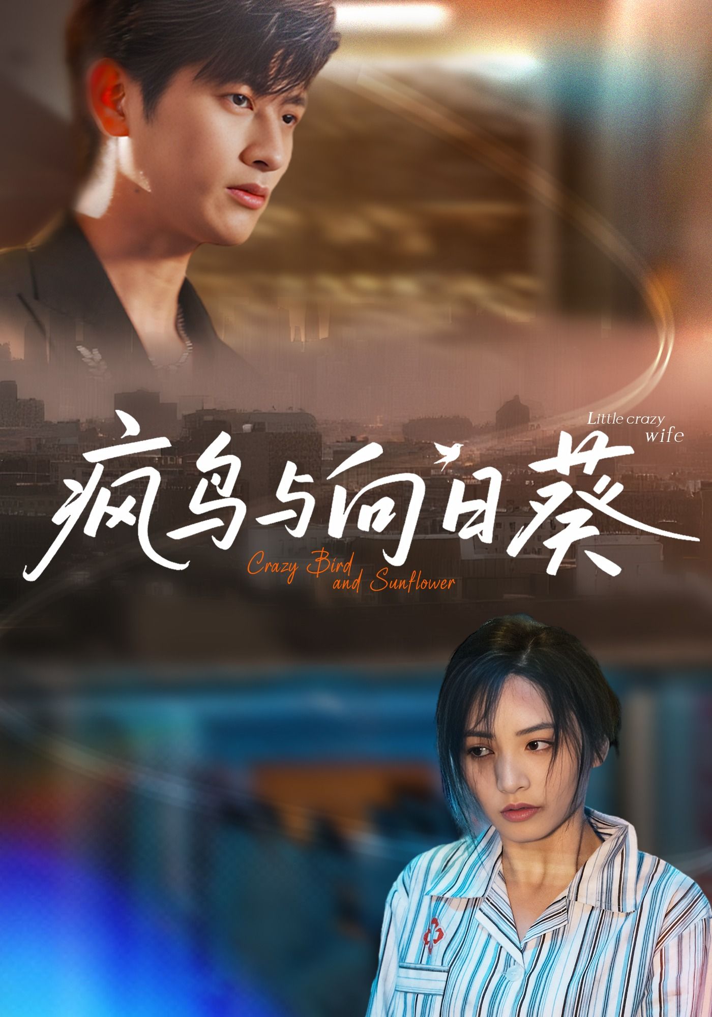 疯鸟与向日葵40集全集完整版未删减韩叙李虹艺主演，免费在线观看播放，百度网盘夸克网盘资源分享下载  第1张