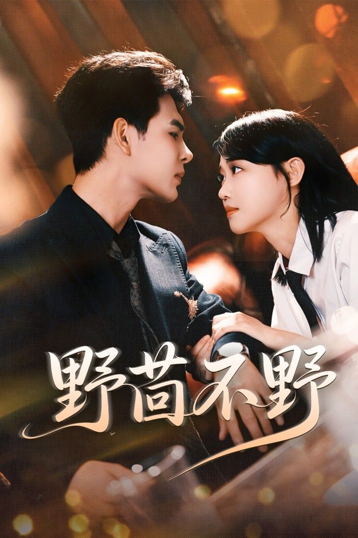 野茴不野(67集)靳旺&龚芳妮全集完整版超清未删减免费在线观看,百度网盘夸克网盘资源分享下载 第1张 野茴不野(67集)靳旺&龚芳妮全集完整版超清未删减免费在线观看,百度网盘夸克网盘资源分享下载 第1张