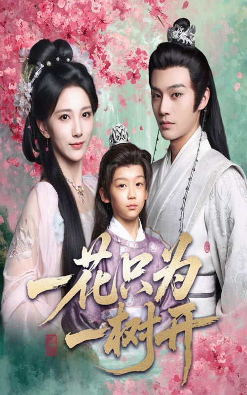 一花只为一树开柳甯高明君主演54集全集免费在线观看未删减版，百度网盘夸克网盘资源分享下载  第1张