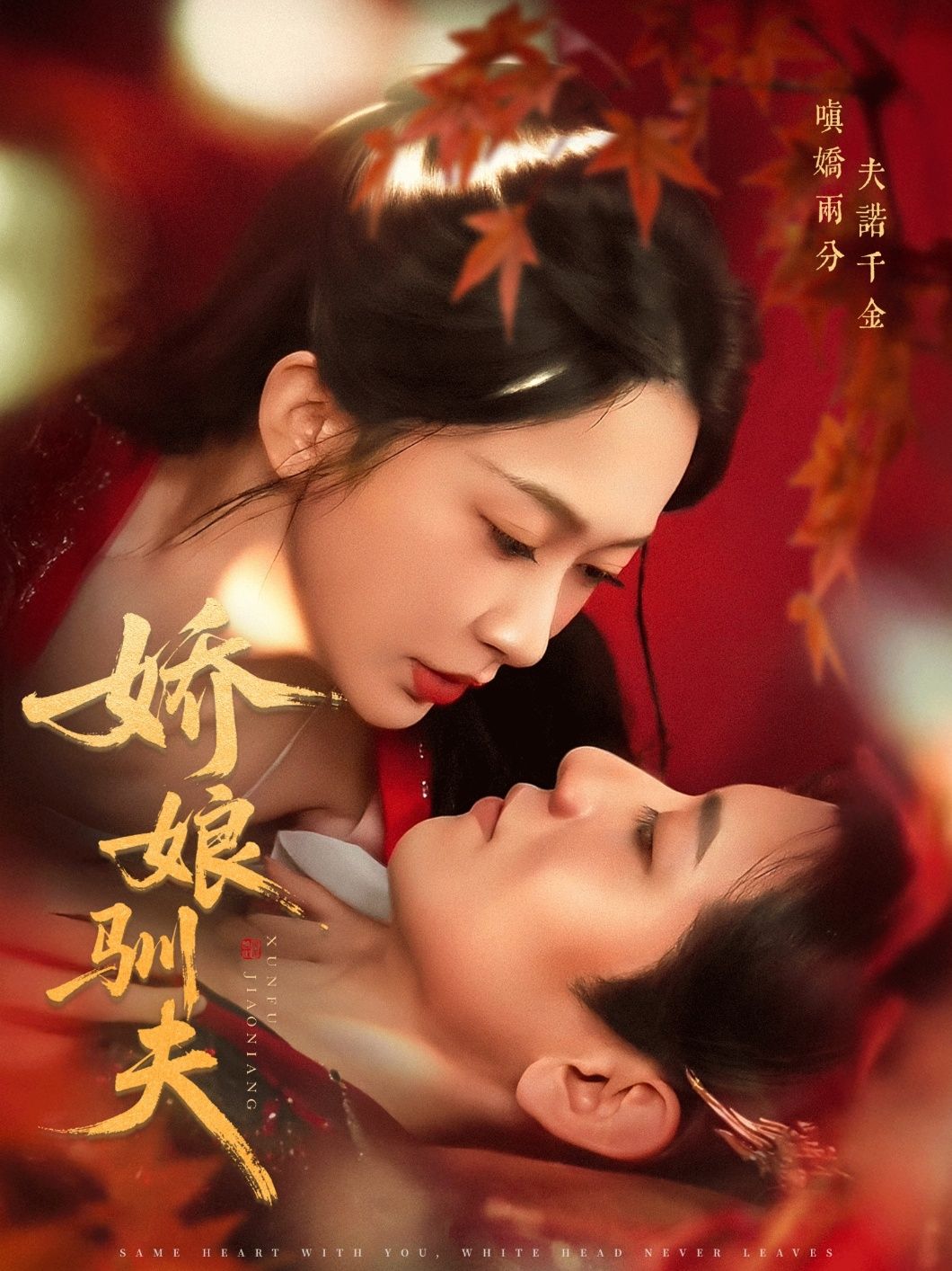 热门短剧娇娘驯夫82集王金宝迟宁宁全集完整版免费无广告在线观看未删减版，百度网盘夸克网盘资源分享下载  第1张