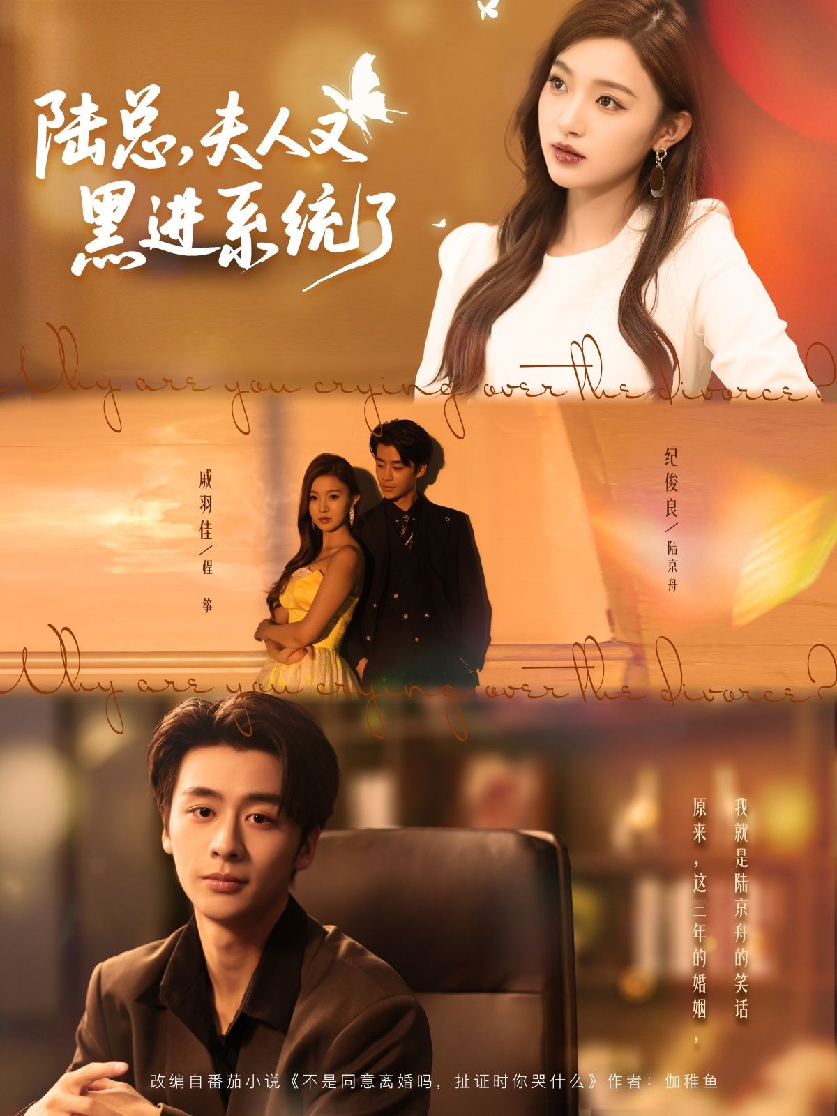 陆总夫人又黑进系统了（81集）纪俊良＆戚羽佳全集免费无广告在线观看未删减版百度网盘夸克网盘资源分享下载  第1张