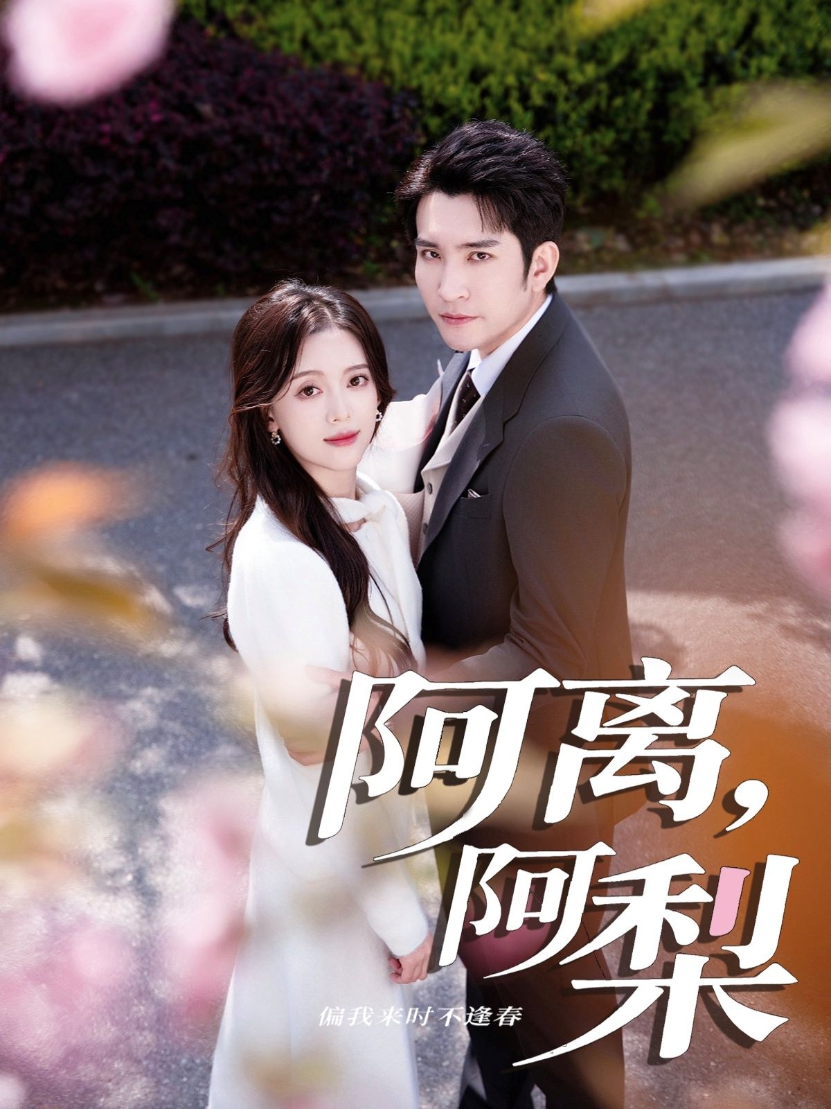 热门短剧阿离阿梨60集全集 王已歌唐敬主演 免费在线观看未删减版 百度网盘夸克网盘资源分享下载  第1张