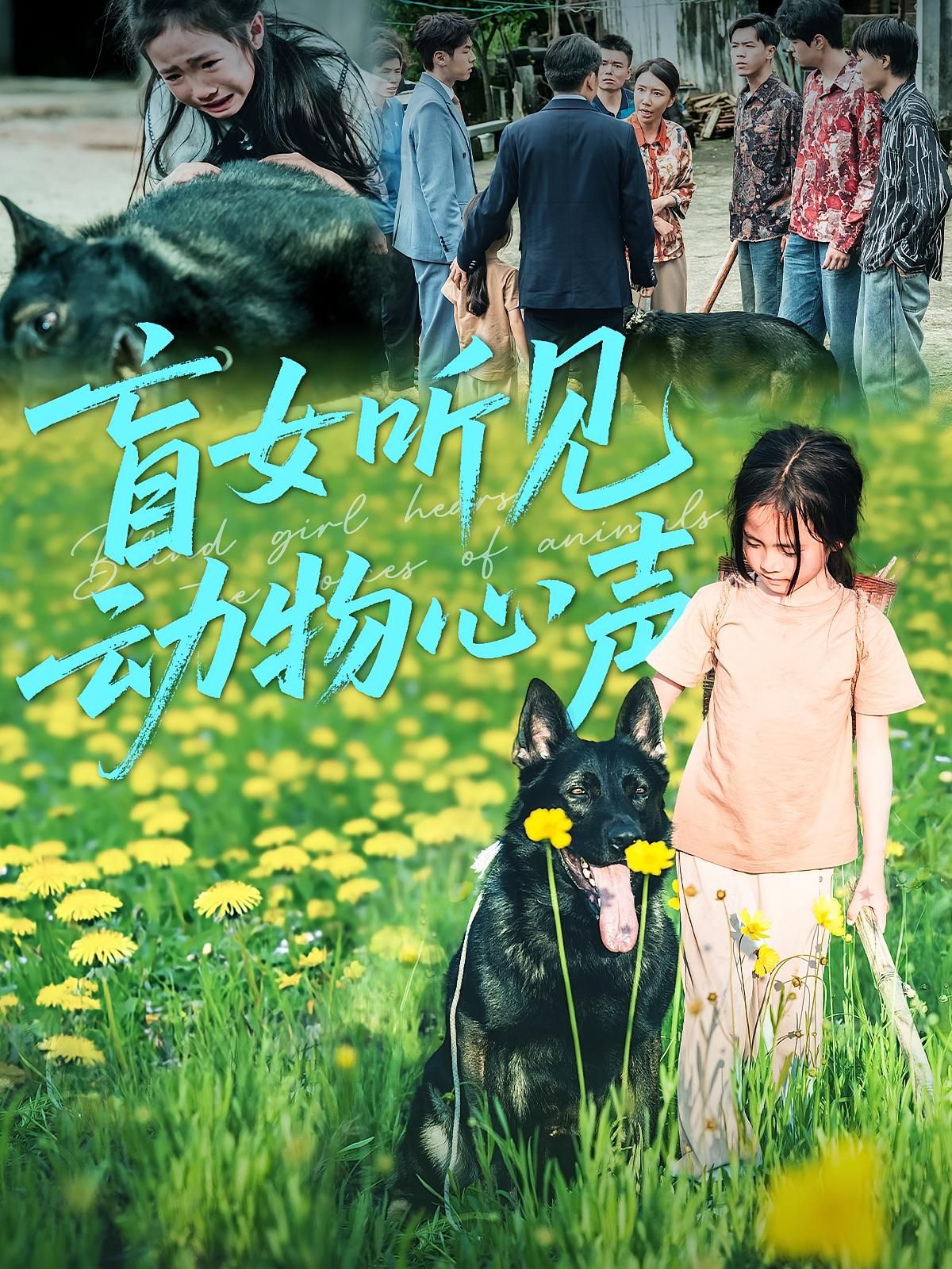 热门短剧盲女听见动物心声全集61集未删减版免费在线观看，百度网盘夸克网盘资源分享下载，完整版播放未删减短剧资源  第1张