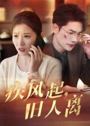 疾风起旧人离（32集）薛海威刘灿全集完整版免费在线观看未删减版 百度网盘夸克网盘资源免费分享下载  第1张