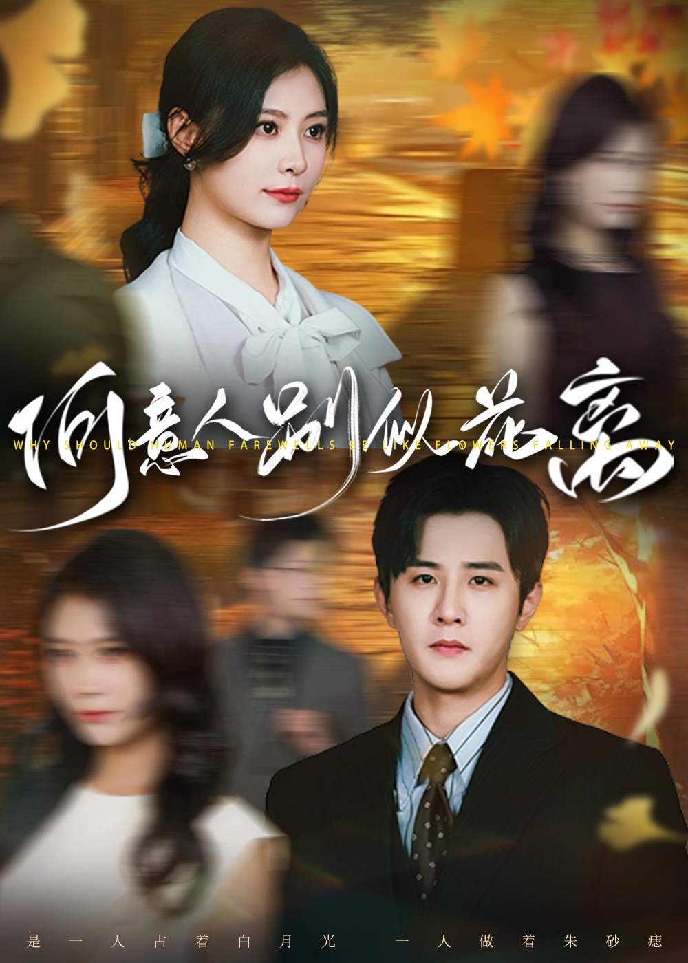 短剧《何意人别似花离》 全集免费在线观看,高清画质,大结局震撼揭晓 第1张 短剧《何意人别似花离》 全集免费在线观看,高清画质,大结局震撼揭晓 第1张