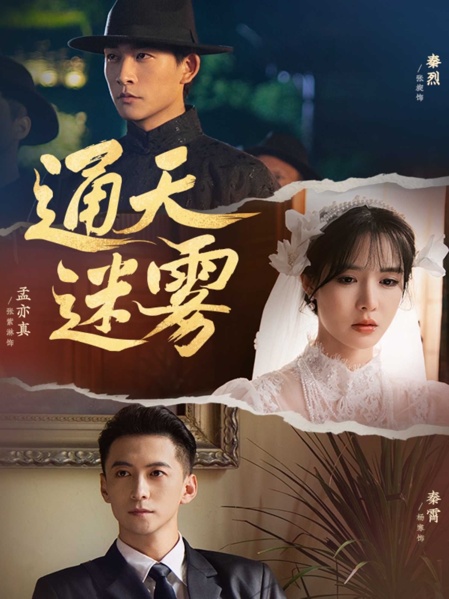 热门短剧通天迷雾（76集）张旋杨寒张紫淋主演 全集完整版免费在线观看 未删减版 百度网盘夸克网盘资源秒存分享下载  第1张