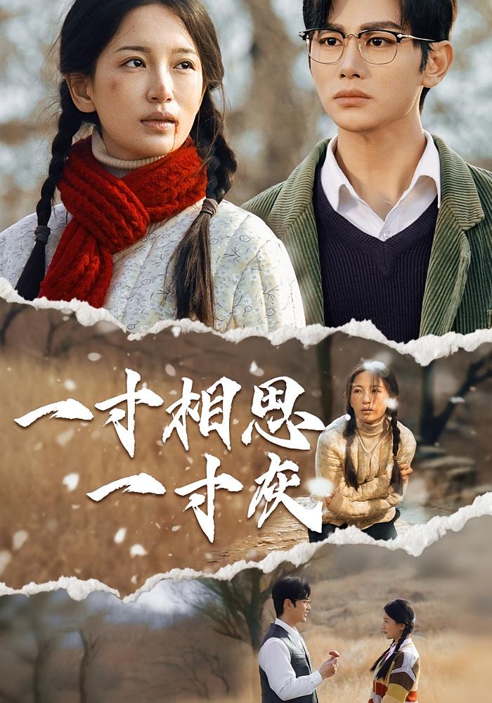 热门短剧一寸相思一寸灰43集全集完整版高清免费在线观看,未删减版百度网盘夸克网盘资源分享下载