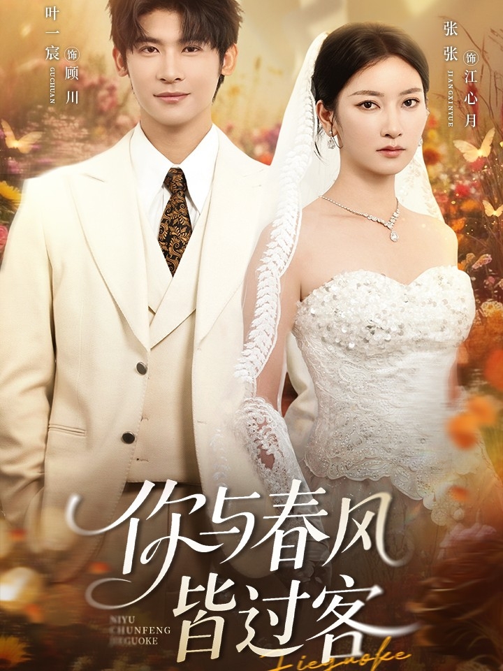 你与春风皆过客叶一宸张张主演66集全集免费无水印在线观看未删减版，百度网盘夸克网盘资源分享下载  第1张