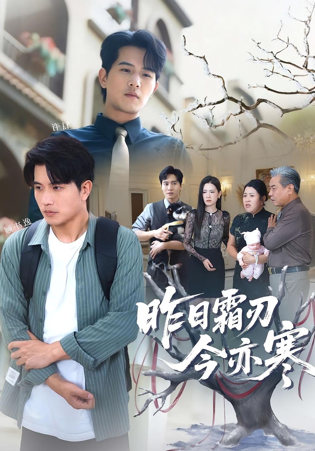 热门短剧昨日霜刃今亦寒80集全集免费无广告在线观看 未删减版梅瑞滢李刘朋 百度网盘夸克网盘资源分享下载  第1张