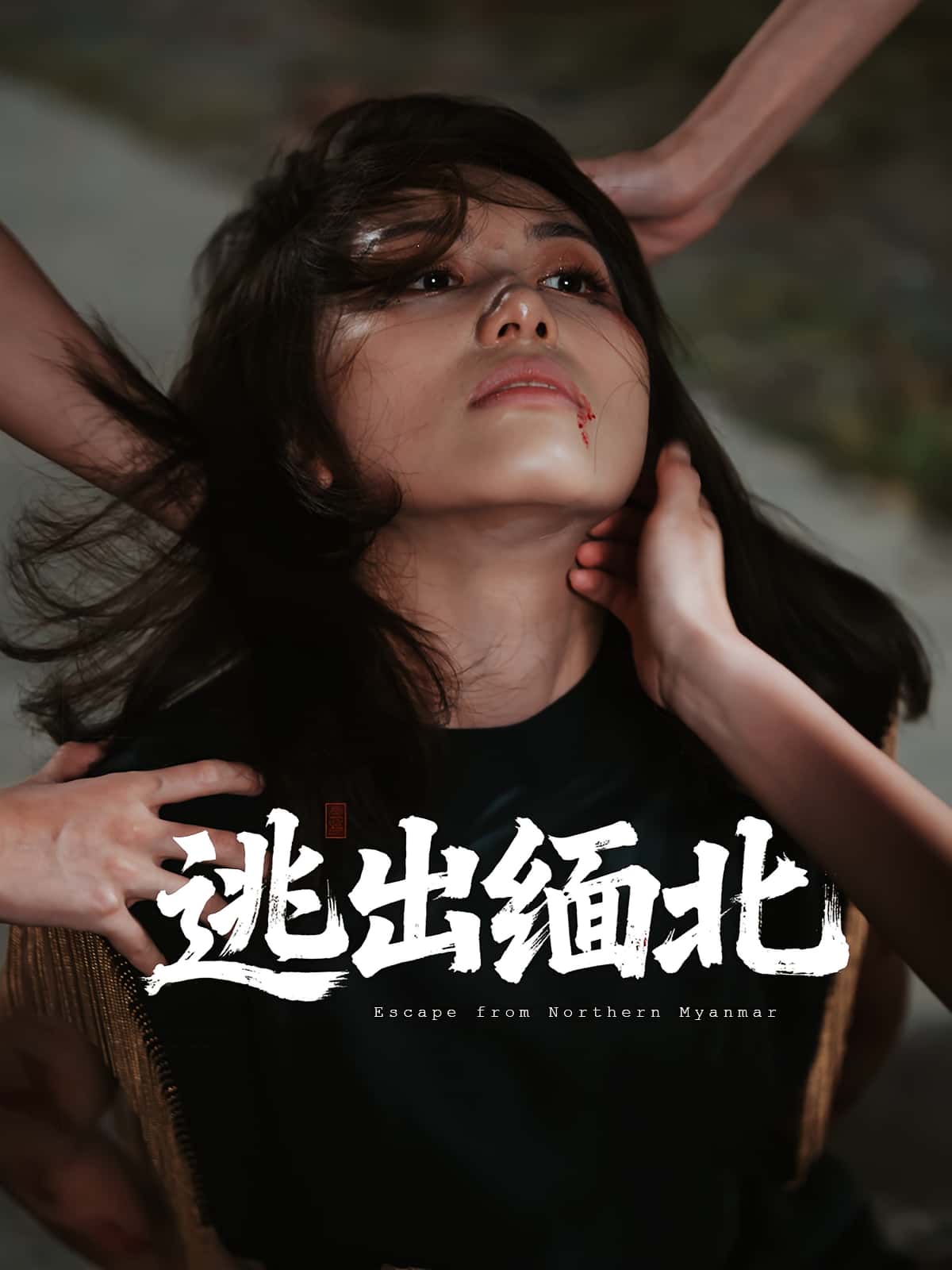 逃出缅北62集全集 刘振安汪芷萱主演 完整版未删减免费在线观看 百度网盘夸克网盘资源下载分享 第1张 逃出缅北62集全集 刘振安汪芷萱主演 完整版未删减免费在线观看 百度网盘夸克网盘资源下载分享 第1张