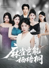 热门短剧麻雀岂能栖梧桐31集全集完整版未删减，纯净免费在线观看，百度网盘夸克网盘免费资源分享下载，全集资源在线播放未删减版  第1张