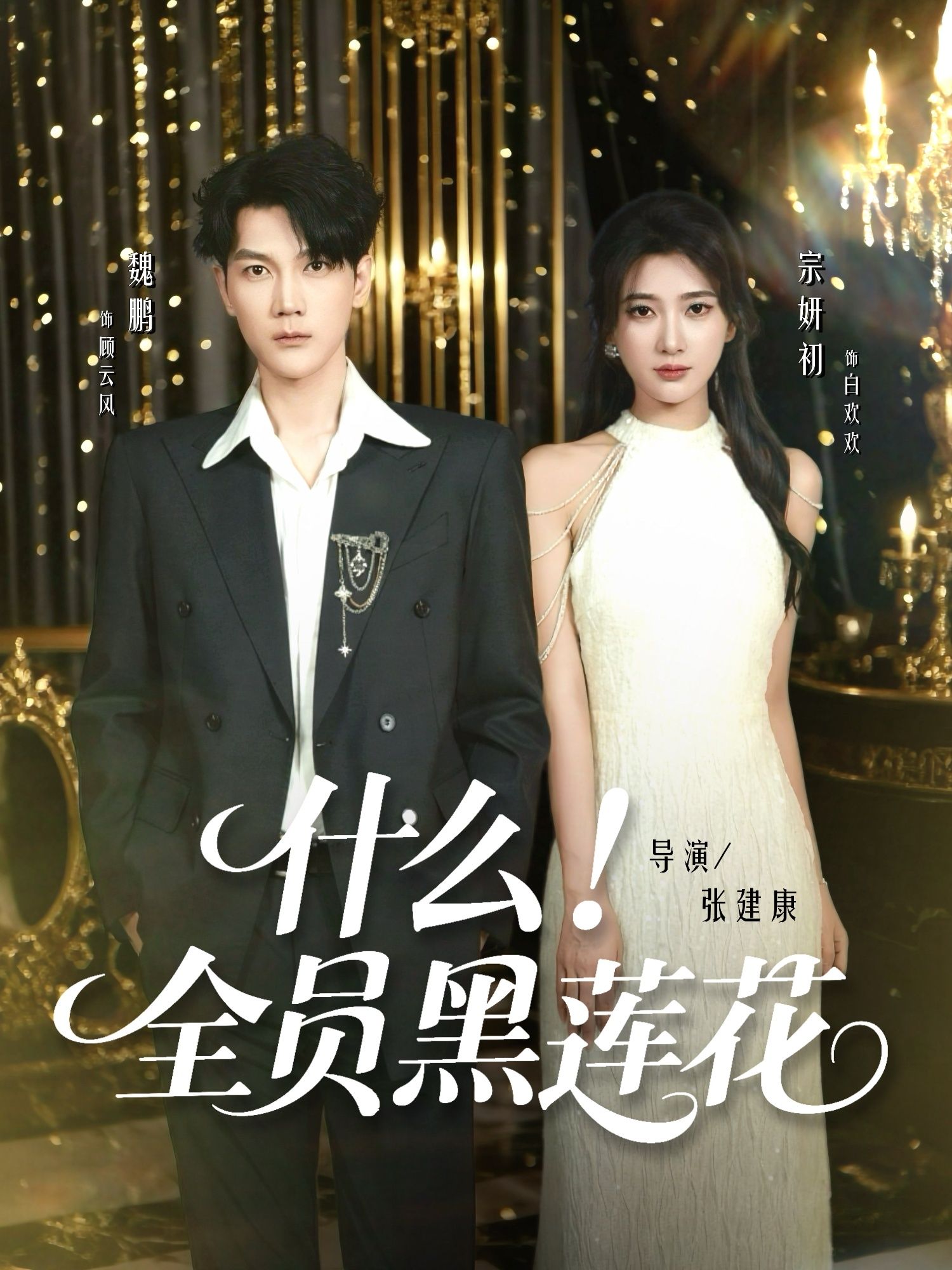 热门短剧什么全员黑莲花60集魏鹏宗妍初主演 全集完整版免费在线观看 未删减版 百度网盘夸克网盘资源秒存分享下载  第1张