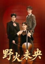 热门短剧野火未央40集张旭刘畅主演全集完整版免费在线观看未删减版，百度网盘夸克网盘资源秒存下载分享  第1张