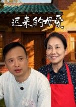迟来的母爱宋军主演42集全集完整版未删减免费在线观看，百度网盘夸克网盘资源免费下载分享  第1张