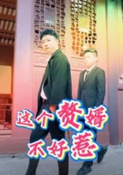 热门短剧《这个赘婿不好惹（27集）》 全集完整版免费稳定在线观看播放未删减版资源，短剧百度网盘夸克网盘免费资源分享下载  第1张