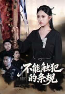 不能触犯的条规张亚迪杨曦麟主演50集全集超清未删减版免费在线观看，百度网盘夸克网盘资源分享下载  第1张
