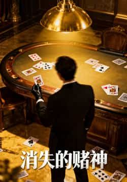 消失的赌神69集全集陈诗敏王凯主演，纯净免费在线观看未删减版，百度网盘夸克网盘免费资源下载  第1张