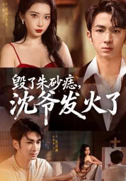 热门短剧《毁了朱砂痣，沈爷发火了（60集）叶森林，张璇》 全集完整版免费在线观看播放未删减版资源，短剧百度网盘夸克网盘免费资源秒存分享下载  第1张