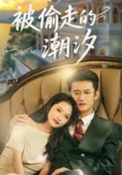 热门短剧《被偷走的潮汐（60集）高广泽，潘悦》 全集完整版免费在线观看播放未删减版资源，短剧百度网盘夸克网盘免费资源速存分享下载  第1张