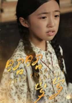 热门短剧昭昭岁岁全集未删减完整版免费在线观看,百度网盘夸克网盘免费资源分享下载 第1张 热门短剧昭昭岁岁全集未删减完整版免费在线观看,百度网盘夸克网盘免费资源分享下载 第1张