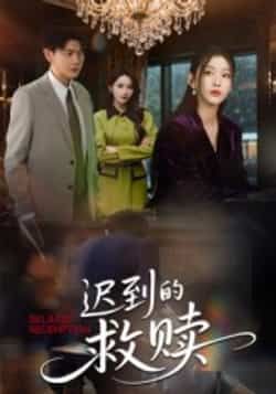 热门短剧迟到的救赎最新全集完整版免费在线观看未删减版，百度网盘夸克网盘免费资源分享下载  第1张