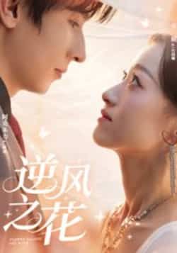 逆风之花热门短剧全集完整版免费在线观看未删减版,百度网盘夸克网盘免费资源分享下载,稳定播放无广告 第1张 逆风之花热门短剧全集完整版免费在线观看未删减版,百度网盘夸克网盘免费资源分享下载,稳定播放无广告 第1张