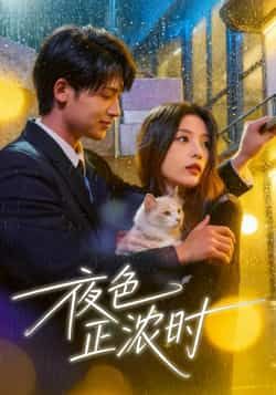 热门短剧夜色正浓时全集完整版实时更新免费在线观看，未删减版资源，百度网盘夸克网盘免费下载分享  第1张