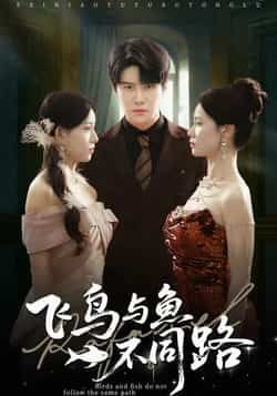 热门短剧飞鸟与鱼不同路全集完整版免费无卡顿在线观看，未删减版百度网盘夸克网盘免费资源分享下载  第1张