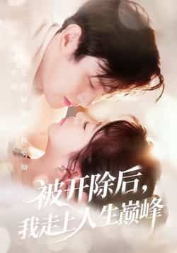 被开除后，我走上人生巅峰全集完整版免费观看在线播放未删减版，百度网盘夸克网盘短剧资源分享下载  第1张