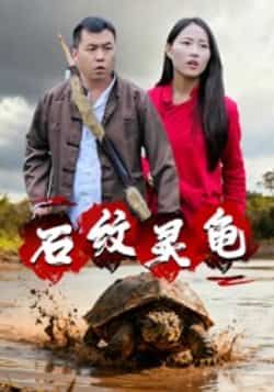 热门短剧《石纹灵龟》 全集完整版免费在线观看播放未删减版资源，短剧百度网盘夸克网盘免费资源秒存分享下载  第1张