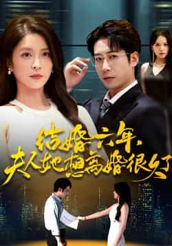 热门短剧结婚六年夫人她想离婚很久了全集完整版高清未删减，免费在线观看+百度网盘夸克网盘资源分享下载  第1张