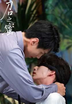 热门短剧刀口之蜜全集完整版未删减免费在线观看，百度网盘夸克网盘免费资源分享下载，高清无删减版即时看  第1张