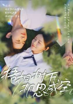 热门短剧梧桐树下，相思成空全集完整版免费在线观看未删减版，百度网盘夸克网盘资源分享下载