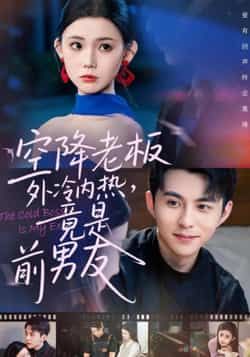 热门短剧空降老板外冷内热竟是前男友全集完整版免费在线观看未删减，百度网盘夸克网盘免费资源分享下载